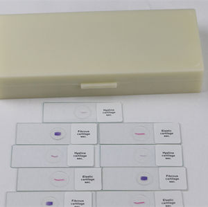 Биология, медицинская медицина, высокое качество и Лучшая цена, БОТАНИКА И зоология, миоз, миоз, приготовленный набор слайдов для обучения выше - Product Image 5