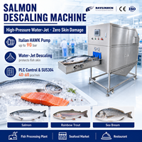 Desescamadora de Salmón Automática, Chorro de Agua Alta Presión SUS304, para Trucha Arcoíris Dorada Lubina, Planta Procesadora