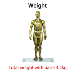 चिकित्सा विज्ञान शिक्षण के लिए डीलक्स तांबे रंग मानव एक्यूपंक्चर मॉडल 50CM स्कूल - Product Image 5