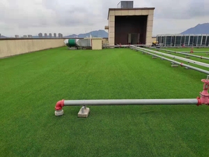30Mm 35Mm 40Mm Hoge Dichtheid Lente Kunstgras Tapijt Voor Tuin Kunstgras Roll En Nep Gazon