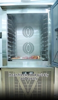 Congelador Rápido Comercial de 10 Bandejas para Helados, Carne y Pescado