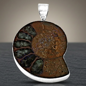 R Art Palace - Colgante de Amonita Natural, Chapado en Plata, Acero Inoxidable, Estilo Vintage, Joyería Unisex para Regalo - Product Image 3