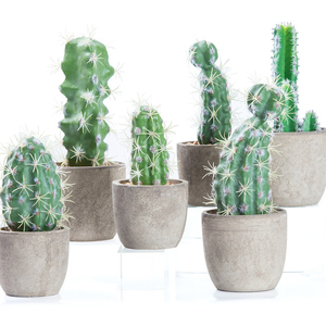 Nuevo diseño barato al por mayor lindo <span class=keywords><strong>cactus</strong></span> de pulpa de papel maceta artificial plantas suculentas bonsai para la venta - Product Image 6