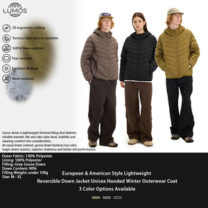 Veste d'<span class=keywords><strong>hiver</strong></span> unisexe en duvet de canard gris léger, style européen et américain, réversible, à capuche, avec logo personnalisé disponible - Product Image 1