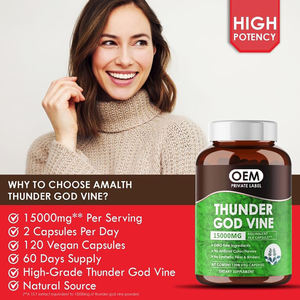 OEMサンダーゴッドヴァインルートエキスカプセルサプリメント15000mgトリプテリギウムウィルフォルディカプセル - Product Image 4