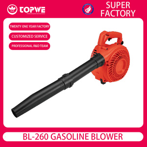 Soplador de Hojas de 25.4CC en Oferta, Soplador de Hojas de Mochila de 0.75KW con Motor de 2 Tiempos - Product Image 6