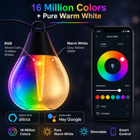 Guirlandes lumineuses de Noël intelligentes Rgbw pour l'extérieur, étanches IP67, ampoules G60 en forme de pomme, pour le jardin, le camping, l'ambiance