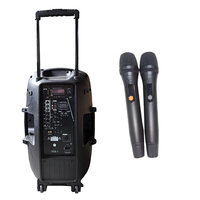 Système de sonorisation PA professionnel rechargeable en plastique 250W 2 voies, enceintes de fête puissantes 15 pouces, audio BT TWS avec ensemble de microphones UHF