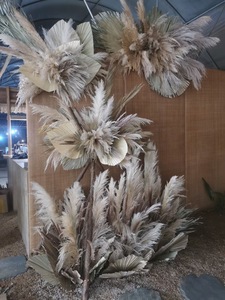 Feuilles de <span class=keywords><strong>palmier</strong></span> naturelles séchées pour décoration de mariage bohème, feuillage séché pour la maison et les événements - Product Image 5