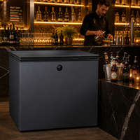 Refroidisseur de boissons commercial OEM avec roulettes pour hôtel, restaurant et bar