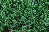 Directo de fábrica, césped ecológico para jardín de mascotas, césped para balcón