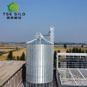 Customized Well-engineered Grain Steel Silos for Paddy Storage