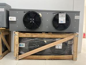 Enfriador de aire de aluminio Dseries, intercambiador de calor de refrigeración congelado fresco, precio competitivo, características automáticas, 1/20/60/20/60 - Product Image 6