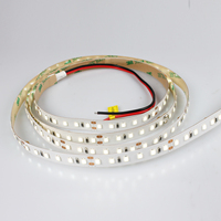 Ruban LED Concentré Haute Puissance 24W/M 60 Degrés |   Bande lumineuse professionnelle ultra-lumineuse à télécommande et intensité réglable pour