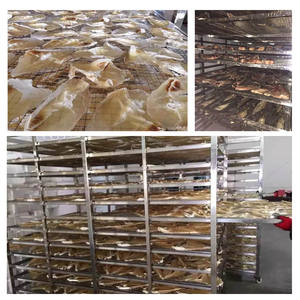 Séchoir à viande électrique pour poisson meilleur déshydrateur d'aliments australie biltong déshydrateur de <span class=keywords><strong>recette</strong></span> pour saccadé - Product Image 5