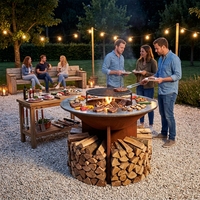 Nouvelle Conception 2026 : Plancha de Jardin à Bois avec Plaque de Cuisson Amovible pour Extérieur