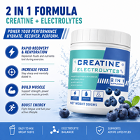 Poudre de créatine et d'électrolytes OEM ODM 2-en-1, supplément nutritionnel sportif saveur myrtille, hydratation et soutien musculaire, boisson pour l'entraînement