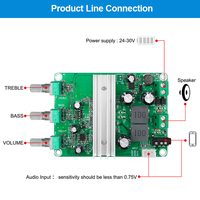Module d'amplificateur de puissance numérique mono canal 120W pour système audio DIY, amplificateur de puissance audio de scène de classe D