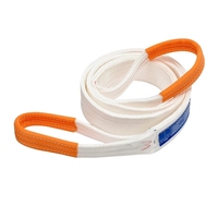 Eslinga de Elevación de Alta Calidad, de Poliéster, 3T, 5M de Capacidad de Carga, Ligera, de Alta Resistencia, Resistente a la Abrasión, Correa de 4mm