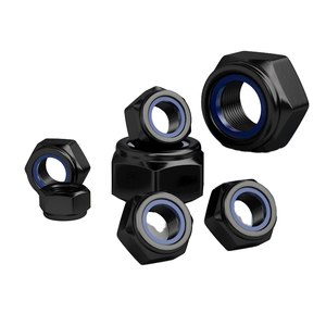 Thép không gỉ Nylon tự khóa Nut đen chống trượt hình lục giác vít cap <span class=keywords><strong>M6</strong></span> M12 M14 M16 M20 m24zinc mạ chống losening - Product Image 2
