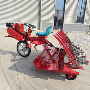 Trasplantadora de Arroz Jinan Gongwang de 6 Filas, Diésel, para Campos Acuáticos, Alta Productividad - Product Image 2