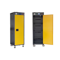 Armoire de stockage de batterie antidéflagrante IBC16