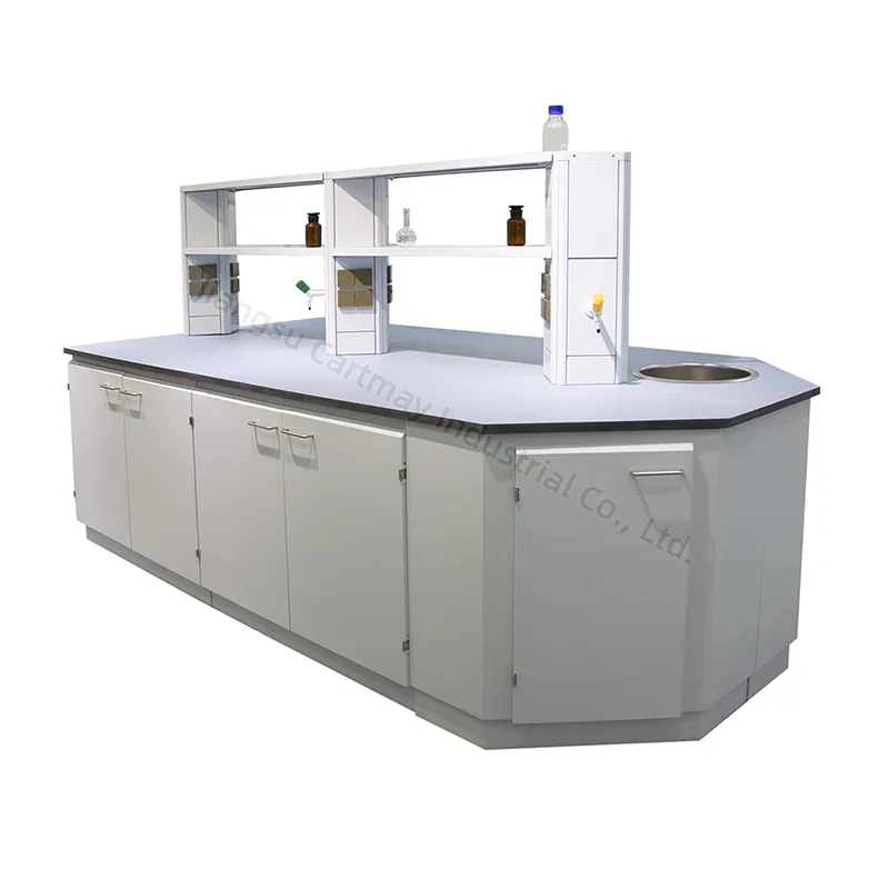 Cartmy Laboratory Chemical Resistant Worktop Science Table Lab Work Bench With Sink