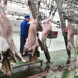 Pemasok profesional perlengkapan pemotongan kambing mesin potong kulit otomatis putar untuk Abattoir pengolahan daging domba