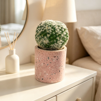 Pot de plante en béton écologique style ferme Terrazzo rose, mini jardinière pour cactus et succulentes, petit récipient d'intérieur pour bureau