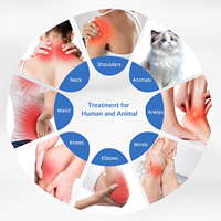 Appareil laser de récupération musculaire 45W, thérapie NIR, réglage de la séance par minuterie, gestion de la douleur, pratique professionnelle, centre de réadaptation