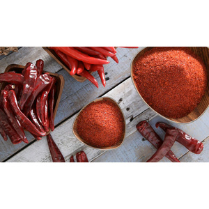 บิ๊กกัลชาน 130 กรัม ผงพริกป่นละเอียดสำหรับทำโกชูจัง ผงพริกป่นละเอียด ปรุงรสพริกแดง - Product Image 1