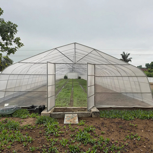 Vita di vendita calda di alta qualità serra costo efficace Tunnel serra a basso prezzo di plastica agricola serra lungo servizio - Product Image 1