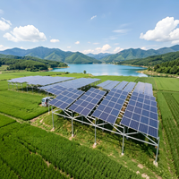 Hoogliggend, thermisch verzinkt montage systeem voor zonne-energiecentrales, landbouw PV-structuur, windbelasting 56M/S, sneeuwbelasting 2.4kN/M
