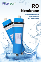Filtre à eau RO Filterpur 3012 à haut débit 400 500 600gpd pour la maison, membrane RO