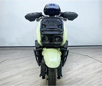 2000W Power Electric Scooter for Urban Commute and Street Use Dual Disk Brake Electric Motorcycle