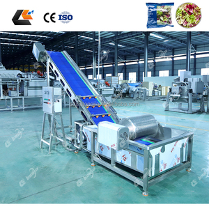 เครื่องตัดหัวหอม 3000 กก./ชม. เครื่องล้างผักแบบฟองโอโซนสำหรับล้างใบผักชี เครื่องล้างผักสำหรับผลิตสลัด<span class=keywords><strong>เบบี้</strong></span>สลัด สายการผลิตสลัด - Product Image 4
