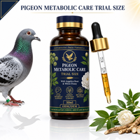 Pigeon Metabolic Care Format d'essai 50ml Soutien Hépatique et Rénal Supplément Herbal Liquide Récupération Post-Compétition Faible MOQ