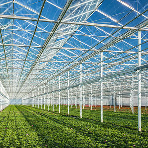 Invernadero de Vidrio Comercial Grande de Múltiples Vãnadas con Control Climático Inteligente para Cultivo de Flores, Vegetales y Viveros - Product Image 6