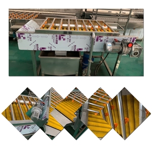 High Capacity Commercial Electric Washing Equipment For Fruit And <b>Vegetable</b> Batch Processing At Food Factory Workshop - Product Image 2
