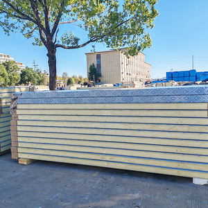 <span class=keywords><strong>Panel</strong></span> Sándwich Metálico para Cuarto Frío, <span class=keywords><strong>Precio</strong></span> al por Mayor Bajo por <span class=keywords><strong>M2</strong></span>, Paneles/Tableros para Pared - Product Image 5