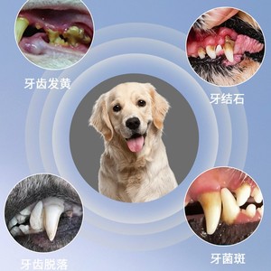 Ultrasonic Dental Cleaner For Pets Removing Tartar Plaque <b>Teeth</b> <b>Cleaning</b> Scaling Dog Cat Grooming <b>Tool</b> Battery Powered Plastic - Product Image 1