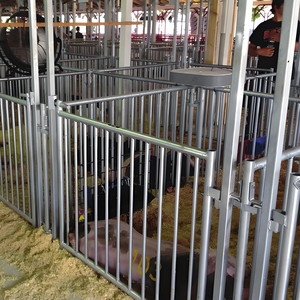 Automatic Sheep Shed com Feeding Trough & Watering System - Reduce Labor Cost