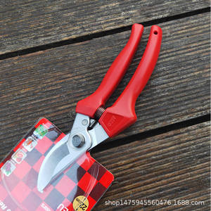 กรรไกรตัดแต่งกิ่งอลิซ 120EU สแตนเลสสตีล ใบมีดบายพาส 50 มม. สำหรับงานจัดสวนและตกแต่งภูมิทัศน์ - Product Image 1