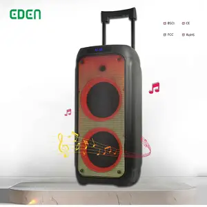 EDEN haut-parleur bluetooth karaoké portable haut-parleur de fête audio actif sans fil haut-parleur extérieur boîte de fête 310 original