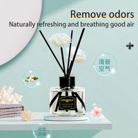 Diffuseur de parfum d'ambiance solide de luxe écologique 100 ml avec bâtonnets en rotin pour maison et hôtel OEM ODM