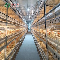 Mangeoire automatique pour poulets bon marché Équipement d'élevage de volaille Batterie pour poussins Cage pour poulets de chair pour 10000