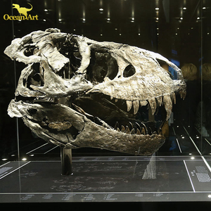 Khủng Long Hóa Thạch Skull Bất T Rex Skeleton Để Bán - Product Image 6