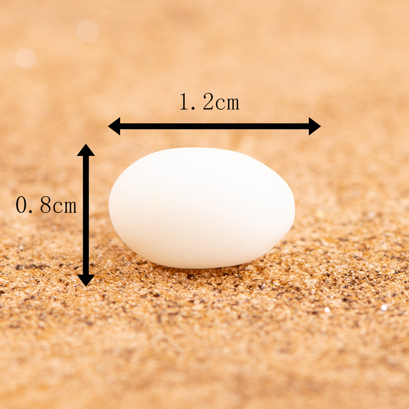Oeufs blancs