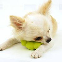 Meilleure vente jouet pour chien en latex naturel doux et écologique avec son pour petits légumes