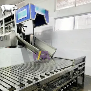 Matadouro automático de porco do equipamento Stunner do porco para o fornecedor do processamento da carne do porco em África